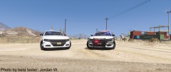 Cook County Sheriff PPV Chargers