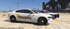 Cook County Sheriff PPV Chargers