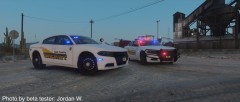 Cook County Sheriff PPV Chargers