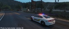Cook County Sheriff PPV Charger