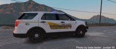 Cook County Sheriff FPIU