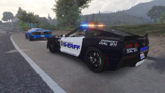 Blaine County Sheriff SRU