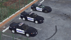 Blaine County Sheriff SRU