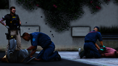 Grand Theft Auto V Screenshot 2019.07.22 - 17.10.55.44.png