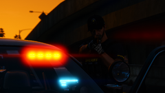 Grand Theft Auto V Screenshot 2019.07.24 - 17.33.23.25.png