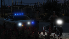 Grand Theft Auto V Screenshot 2019.07.17 - 21.54.41.96.png