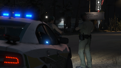 Grand Theft Auto V Screenshot 2019.07.17 - 21.52.40.74.png