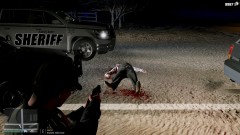 Felony stop gone wrong