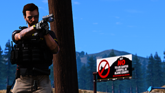 Grand Theft Auto V Screenshot 2019.07.26 - 09.14.47.77.png