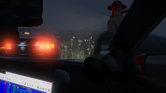 Grand Theft Auto V Screenshot 2019.07.17 - 21.50.58.47.png