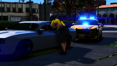 Grand Theft Auto V Screenshot 2019.07.24 - 17.25.18.71.png