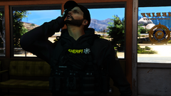 Grand Theft Auto V Screenshot 2019.07.26 - 12.20.59.24.png