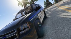 To protect and to serve