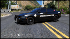 New NSP 2018 Dodge Charger