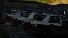 fhp2.PNG