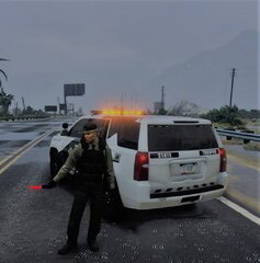 Traffic Detail.jpg