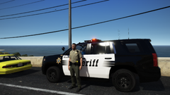 vehicular homicide suspect caged.png