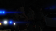 Grand Theft Auto V Screenshot 2019.08.08 - 20.40.49.98.png