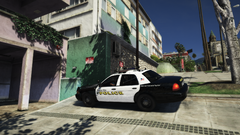 domestic dispute.png