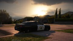 Found one in the Hills!