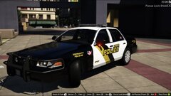Community Policing