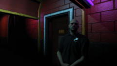 Principal Security.png