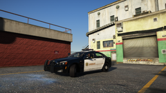 rolling in the caprice.png