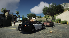 reckless driver and a warrant.png