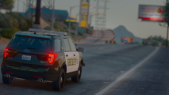 Early Morning Cruise