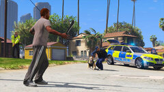 Dog Handler Challenges a Male with a Machete in a Public Park