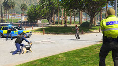 Taser Officer stand by to assist Armed Officers challenging an armed male