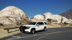 patrolling the parks.png