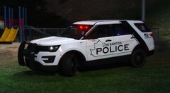 2 Ghost Skins, and Two Supervisor Skins