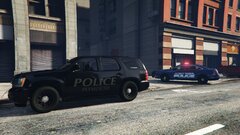 PPD and PTPD on scene of a fight in the city.