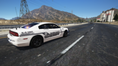 K-9