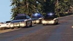 GTA5 2019-09-02 23-28-25-249.png