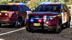 2013 FPIU
