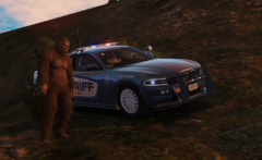 My new Duty Partner - Mr. Big Foot