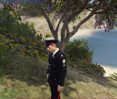 Toronto Police Formal Uniform