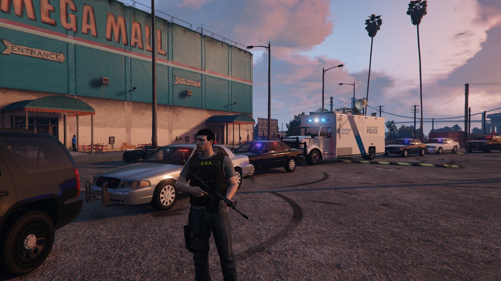 homeland security task force