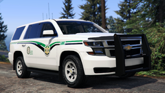 2019 Chevy Tahoe SAWC