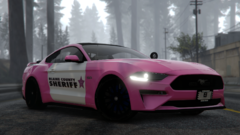 Breast Cancer Awareness Month Mustang!