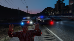 USMS Felony Stop