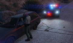 Traffic Stop