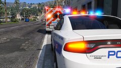 Who let the dogs out