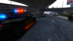 Suspect evading Arrest