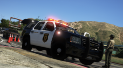 My new favorite cars - NY lighting