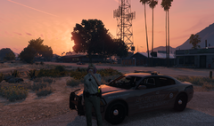 Coffee for the Shift