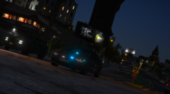 Drug Bust Seizure