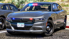 Eden Prairie PD DUI Charger
